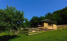Forest Lodge On The Pyramid