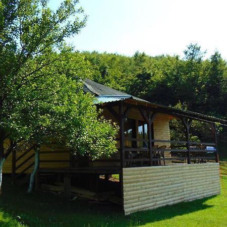 Forest Lodge On The Pyramid Visoko Exteriér fotografie