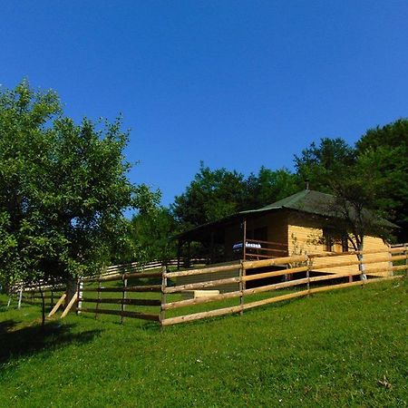 Forest Lodge On The Pyramid Visoko Exteriér fotografie