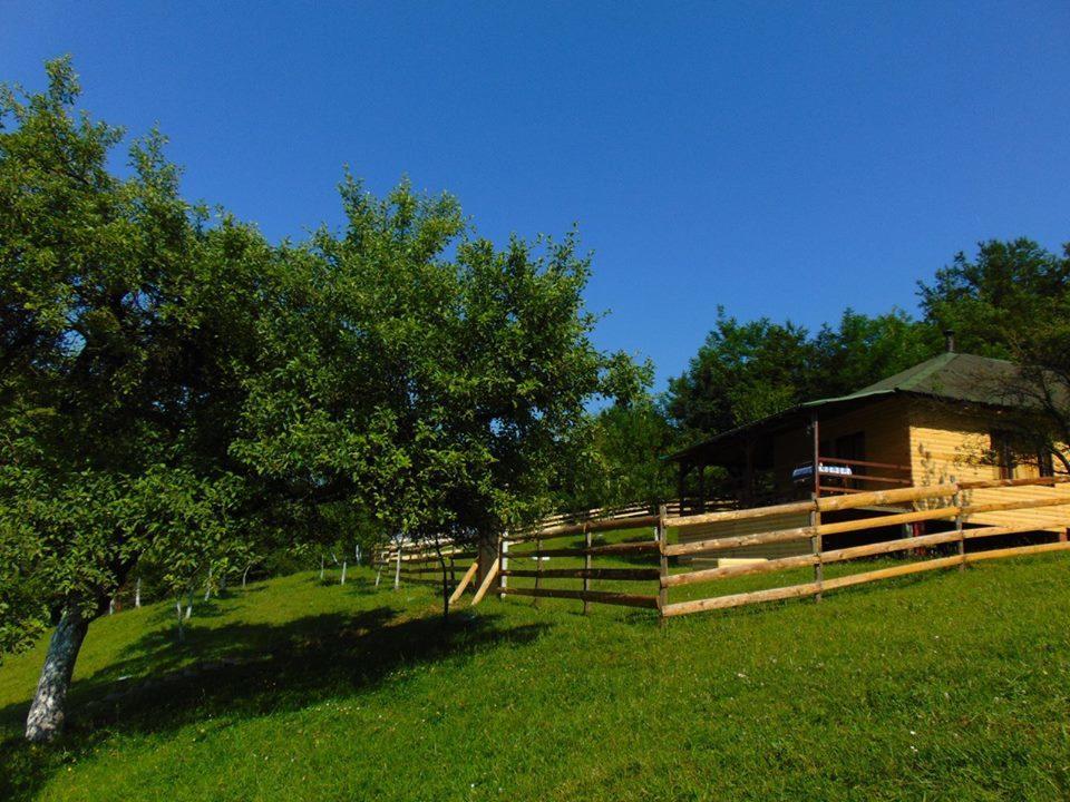 Forest Lodge On The Pyramid Visoko Exteriér fotografie