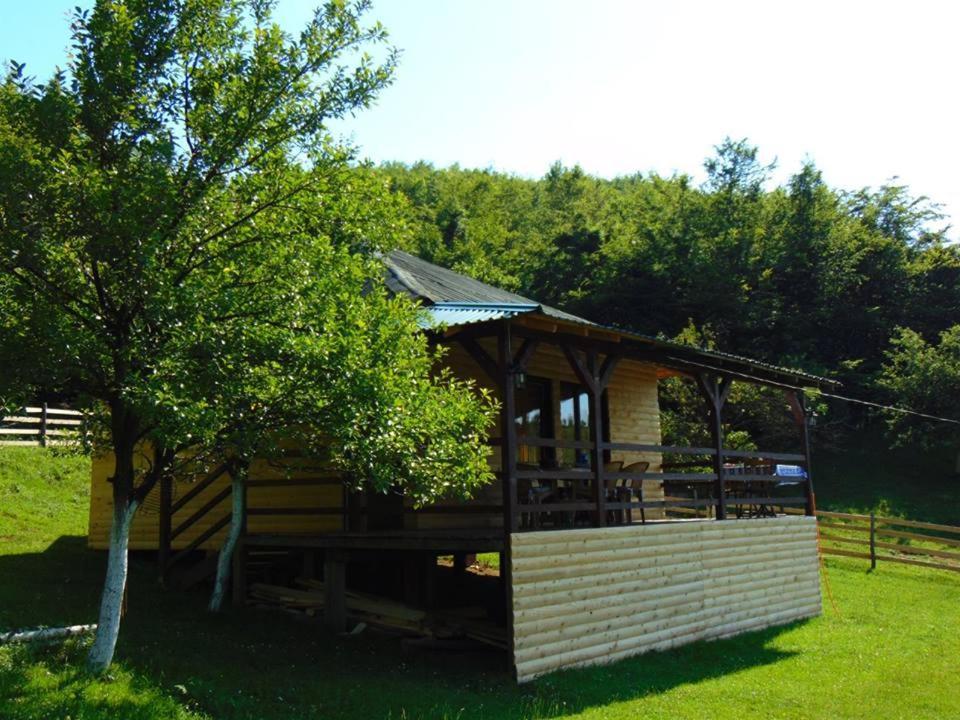 Forest Lodge On The Pyramid Visoko Exteriér fotografie