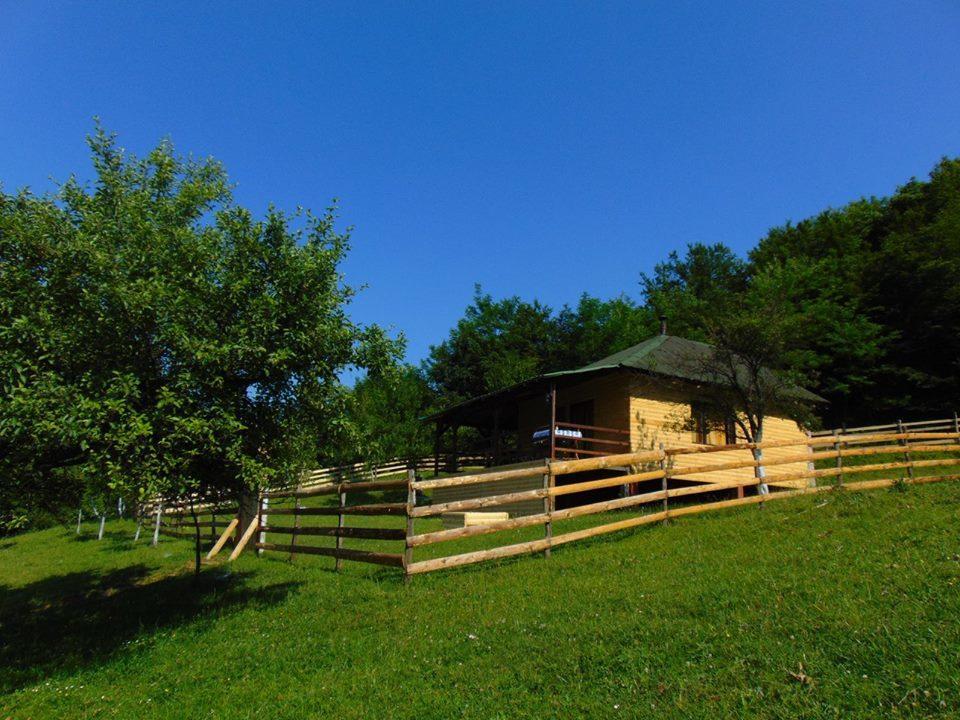 Forest Lodge On The Pyramid Visoko Exteriér fotografie