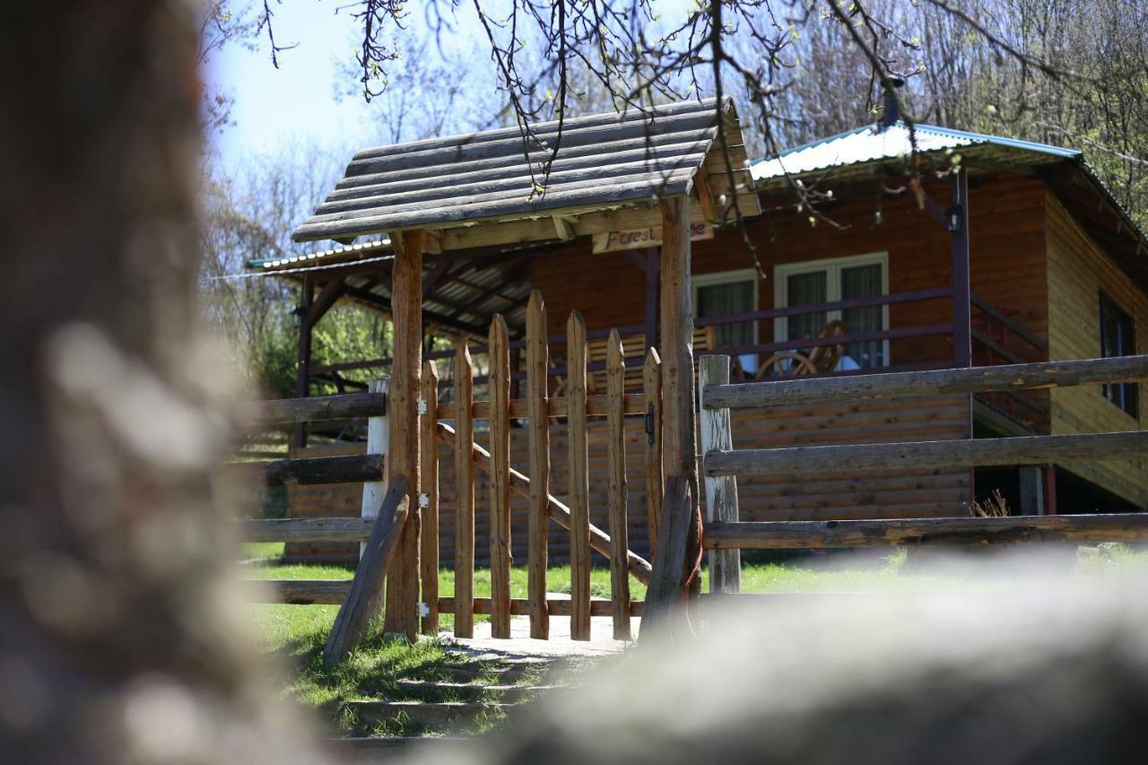 Forest Lodge On The Pyramid Visoko Exteriér fotografie