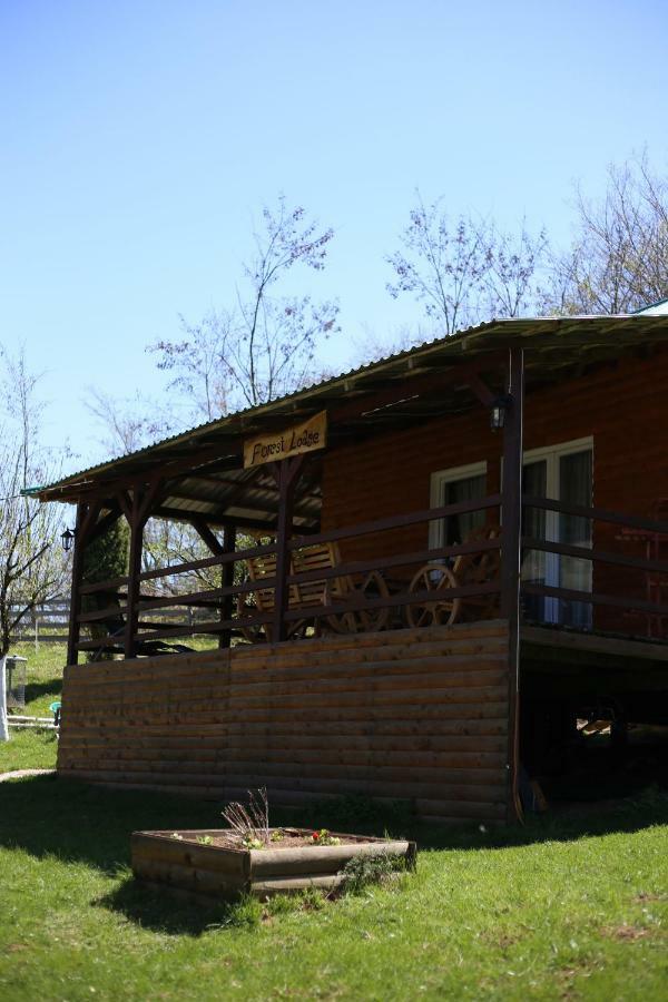 Forest Lodge On The Pyramid Visoko Exteriér fotografie